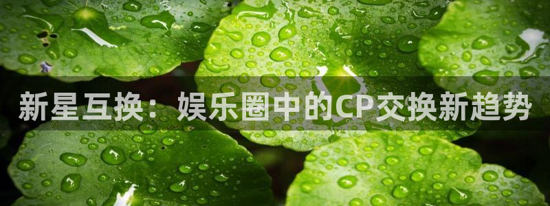 开丰娱乐：新星互换：娱乐圈中的CP交换新趋势