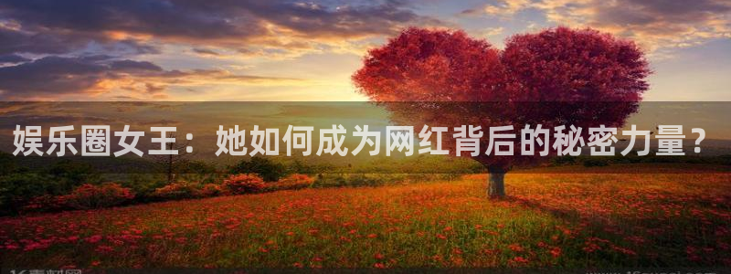 开丰娱乐地址：娱乐圈女王：她如何成为网红背后的秘密力量？