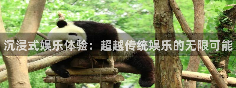 开丰娱乐：沉浸式娱乐体验：超越传统娱乐的无限可能
