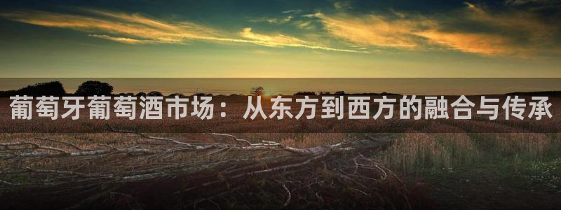 开丰娱乐168：葡萄牙葡萄酒市场：从东方到西方的融合与传承