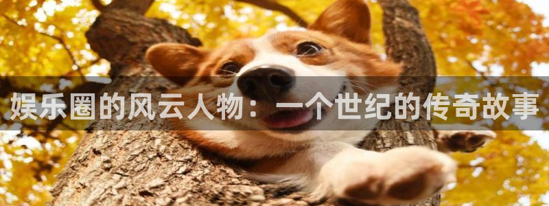 开丰娱乐：娱乐圈的风云人物：一个世纪的传奇故事