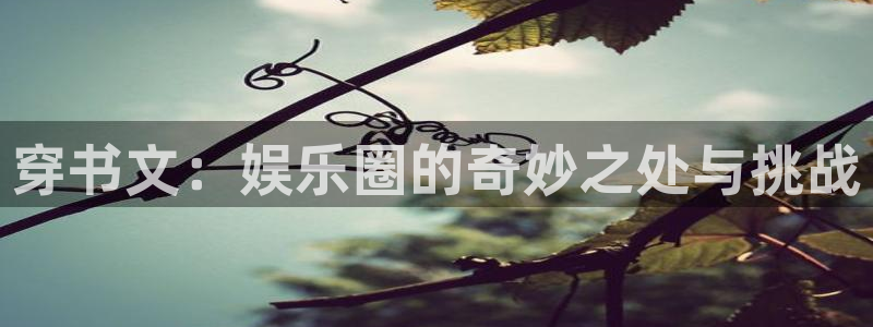 开丰娱乐地址：穿书文：娱乐圈的奇妙之处与挑战