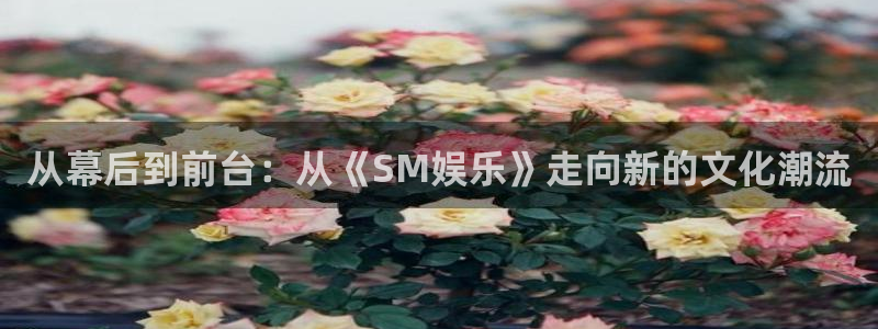 开丰娱乐168：从幕后到前台：从《SM娱乐》走向新的文化潮流