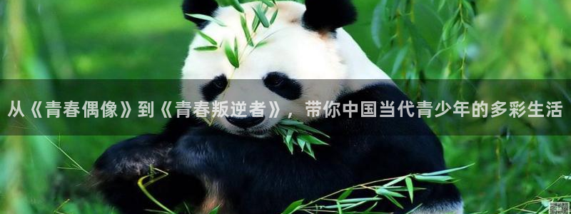 开丰娱乐地址：从《青春偶像》到《青春叛逆者》，带你中国当代青少年的多彩生活